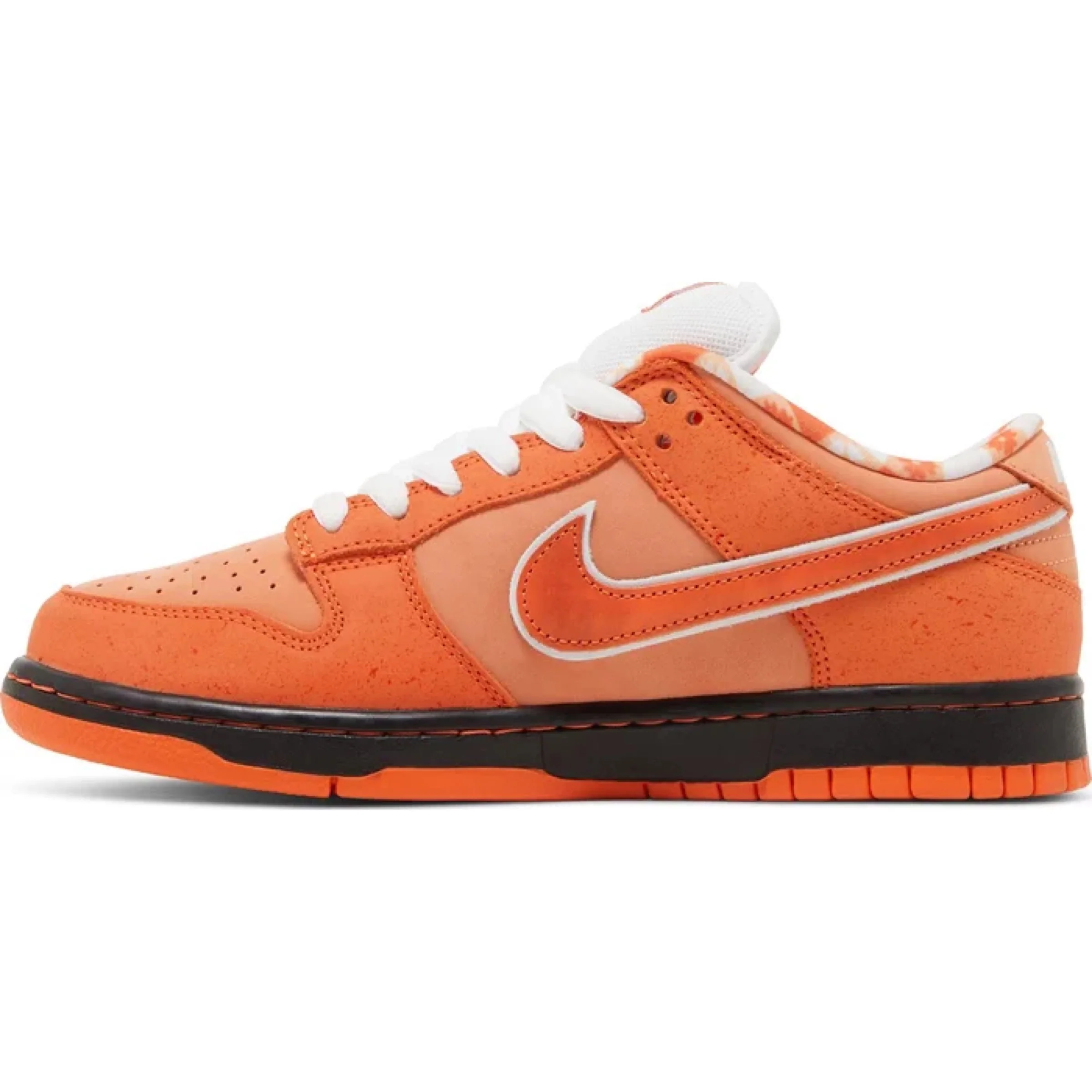 Concepts x Nike SB Dunk Low 'Orange Lobster' - Image 2