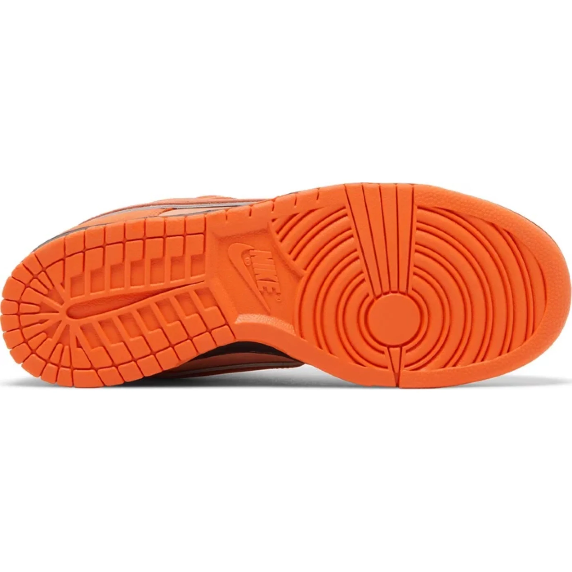 Concepts x Nike SB Dunk Low 'Orange Lobster' - Image 3